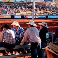 Are you Coming to the Sunshine Coast?